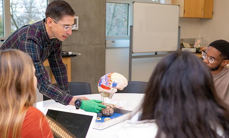 西雅图州立大学教授菲利普·贝克向几名学生解释了大脑的不同部分