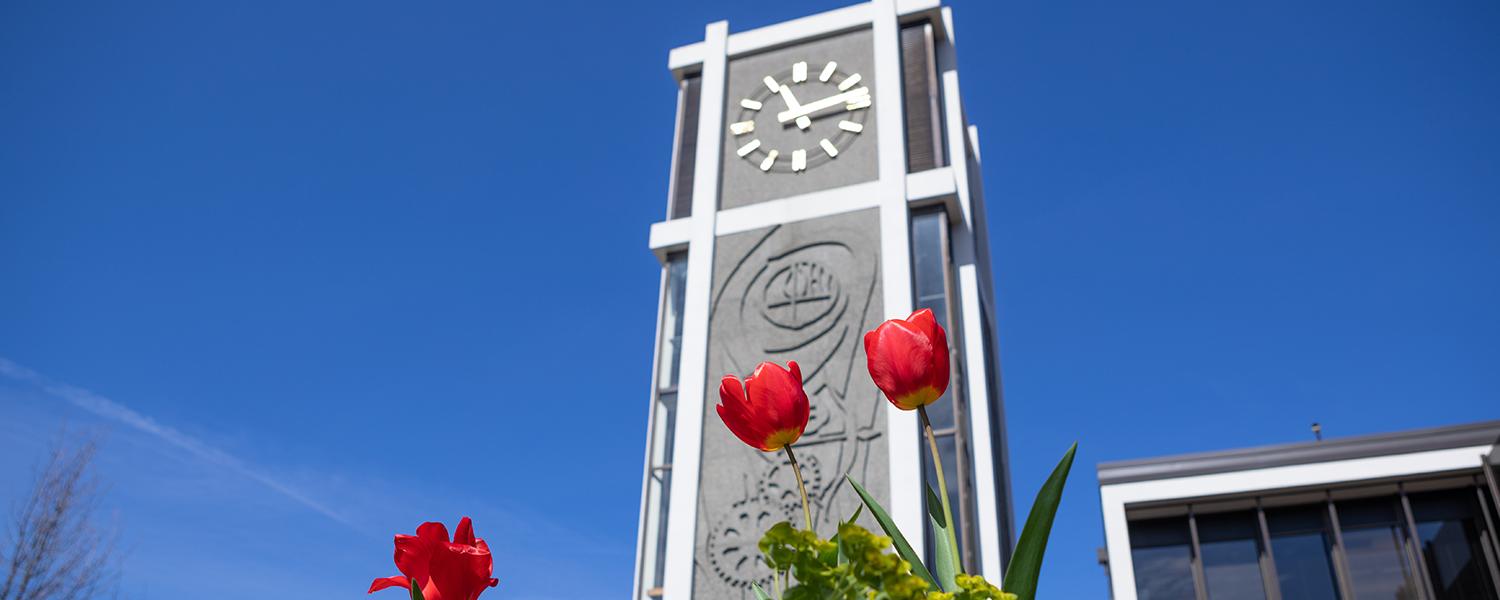 The Demaray Hall Clocktower with bright red tulips in the foreground 